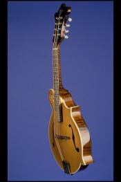 2011 Gibson F-5G Mandolin Custom Gold Top #2 2011 Gibson F-5G Mandolin Custom Gold Top #2