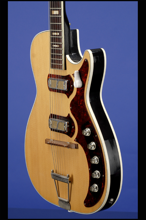 Guitars | Fretted Americana Inc.