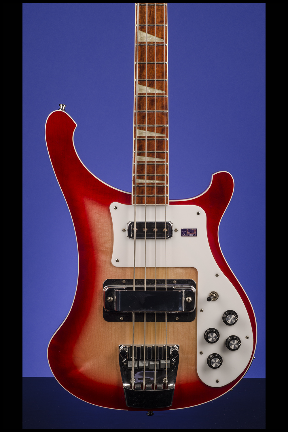 rickenbacker 2001